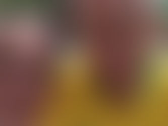 Ronaldo Caiado diz que aliança com PL em Goiás está totalmente definida