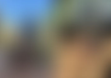 São Francisco de Goiás realiza 1ª edição do Castramóvel com mais de 80 animais atendidos