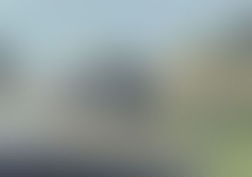 Caminhão carregado com gado capota e cena é registrada por motorista que vinha atrás