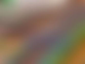 TCE-GO realiza vistoria no Autódromo de Goiânia após problemas na MotoGP