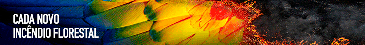 WebBanner_IncendiosFlorestais_GOV_728x90.gif