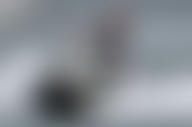 PF intima Bolsonaro a depor em inquérito que apura "importunação" a baleia