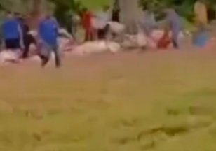 Dezenas de vacas morrem atingidas por raio, em Itapuranga durante forte chuva