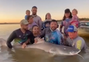 Pescadores fisgam peixe de mais de 2 metros no Rio Araguaia