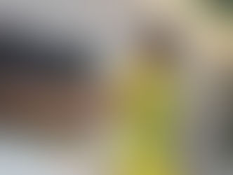 Torcedores de Jaraguá quebram televisão após eliminação do Brasil e vídeo viraliza nas redes sociais