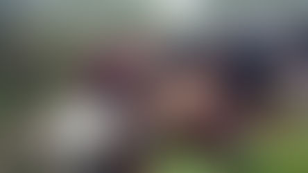 Filho de ex-vereador de Jaraguá escapa de acidente envolvente três veículos na BR-153