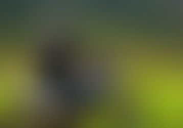 Polícia Civil alerta sobre danos à rampa de parapente em Jaraguá e possíveis crimes, após nova ocorrência