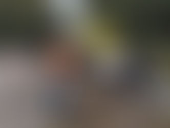Colisão frontal na BR-153 deixa um morto e um ferido entre Jaraguá e Rianápolis
