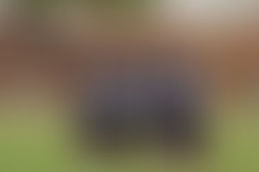 Jaraguá anuncia participação em campeonato Sub 20 e gera questionamentos