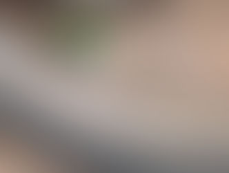 Depois de consertar o pneu 10 vezes, dono descobre o verdadeiro “furador”: o papagaio!