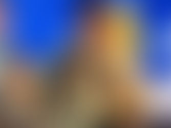 Paulo Vitor abre campanha em Jaraguá com encontro com educadores. Oposição segue sem agenda