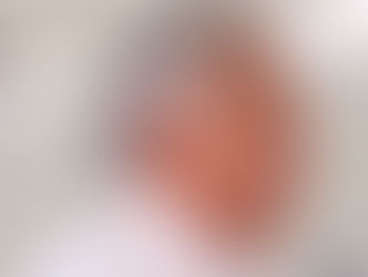 Caiado reforça segurança publica como principal bandeira e diz policia goiana dá "educadinha" em bandidos