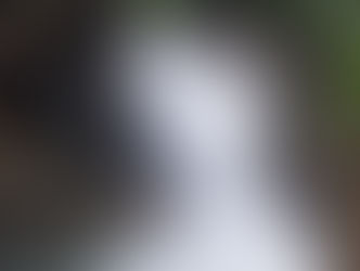 Após chuvas fortes, Poção da Serra em Jaraguá ganha novo volume de água