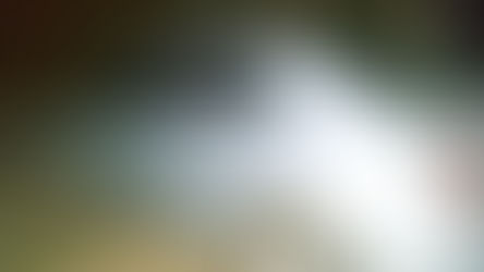 Homem é baleado durante tentativa de assalto na GO-427 entre Jaraguá e Itaguaru