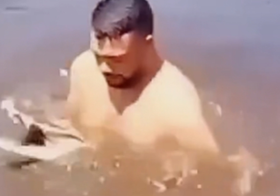 Homem confunde jacaré com peixe e por pouco não é atacado em rio