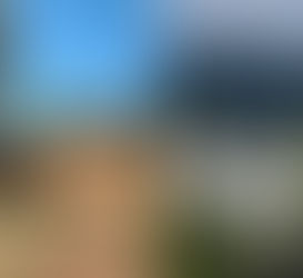 Pirenópolis: fiscais flagram desmatamento e construção ilegal de loteamento