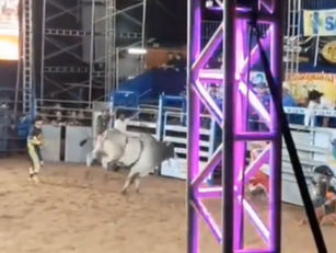 Rodeio em Touro… sem locutor? Isso mesmo! O fato foi registrado na Festa do Peão de Rialma.