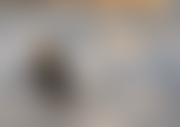 Macaquinho faminto surge em acostamento aceita fruta de motociclista