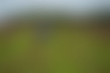 Crise: Recuperação judicial entre produtores rurais pessoas físicas dispara