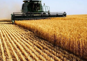 PIB do Brasil bomba no primeiro trimestre puxado pelo agronegócio e evita decepção