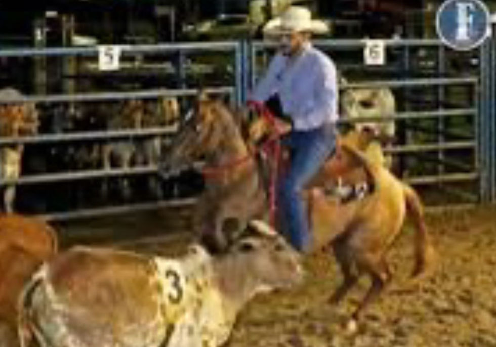 1º Ranch Sorting da Festa do Peão de Jaraguá tem data alterada para 31 de julho
