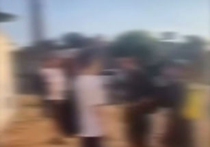 Vídeo de briga entre estudantes em Aparecida de Goiânia preocupa e mobiliza especialistas