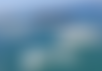 Navio que transportava ovelhas naufraga no Mar Vermelho e 160 animais acabam morrendo