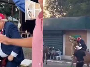 Sósia de Donald Trump cai de cavalo durante apresentação na Pecuária de Goiânia