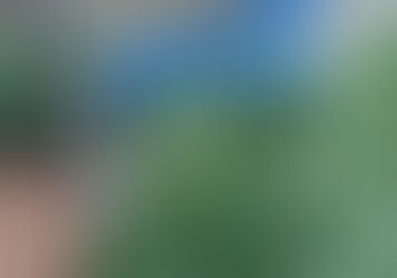 Homem é preso em Aparecida de Goiânia por cultivar pés de maconha no quintal de casa