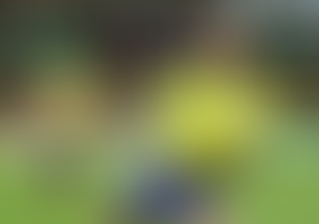 Neymar é cortado da seleção brasileira para os jogos das eliminatórias para Copa do Mundo