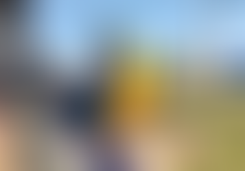 Arara ‘pega carona’ em viatura e cena surpreende policiais militares no interior de SP