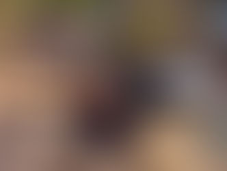 Oito meses após tragédia da ponte em Estreito, veículo onde estava vereador do Pará é retirado do Rio Tocantins