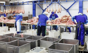 Indústria do estado de Goiás registra a 7ª maior alta do país