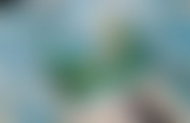 Goianos de 25 cidades que acertam a quina da mega sena vão receber R$ 5 milhões