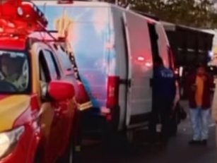 Acidente com animal na pista é registrado na GO-080, saída de Goianésia para Jaraguá