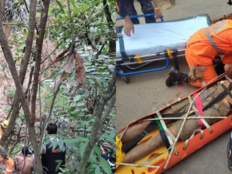 Homem sobrevive quatro dias comendo mangas até ser resgatado de buraco de 50 metros