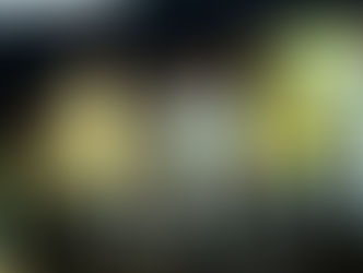 Racha no PL: Wilder não participa de ato de Gayer em Goiânia