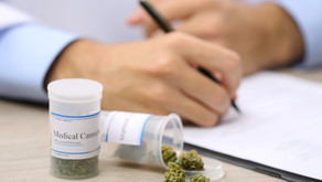 Study Finds No Evidence Legal Medical Cannabis Increases Youth Marijuana Use