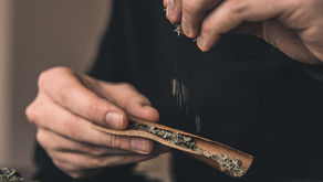 Study Suggests Link Between Cannabis Legalization And Decline In Workers Comp Claims