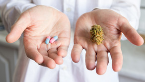 How cannabis may help to relieve Rheumotologic disease symptoms: A list of studies