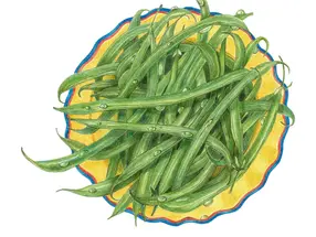French Filet Green Beans (Phaseolus vulgaris)