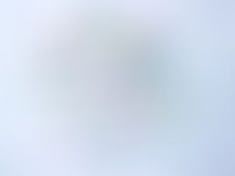 Difference in Indifference — Caste and Criticism