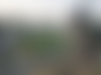 Mandla Plant Fossils National Park