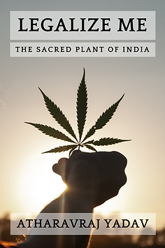 Legalize Me - Book Cover.png