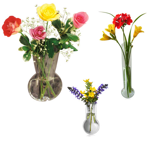 Window Vase BulbShaped Vase Collection 3 Styles!