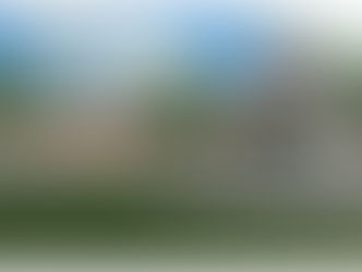 Case Study:  Tragedy to Triumph