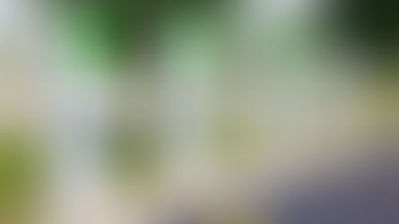 MSA IE/Desert Chapter General Lunch Meeting - November 21, 2024