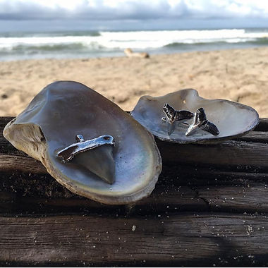 finmontauk_103927372_588045392115052_242