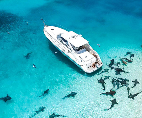 42' Sunseeker - Exterrior1.jpeg