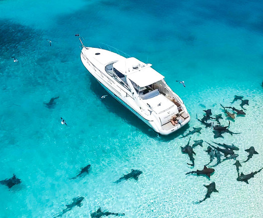 42' Sunseeker - Exterrior1.jpeg